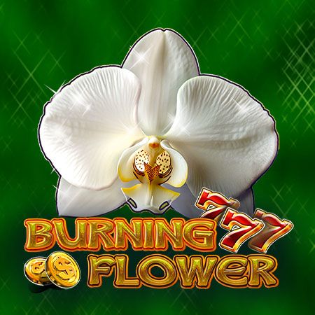 Burning Flower